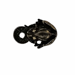 Żaba ze Znalu w Pokryciu Niklowym – Stare Złoto ( 23 mm)